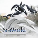 seaworld_091818getty-copy-2