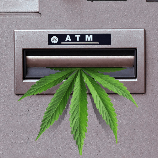 Marijuana