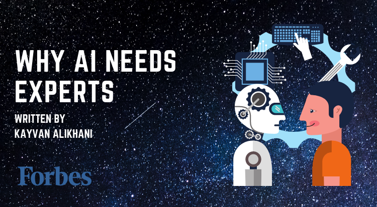 Why AI Needs Experts Why AI Needs Experts